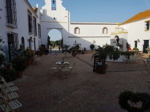 boda-muy-musical