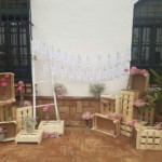 primera-boda-de-la-temporada