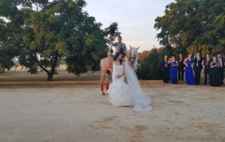 baile-de-sevillana-con-caballo