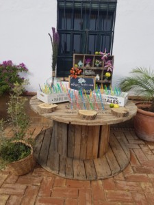 boda-en-hacienda