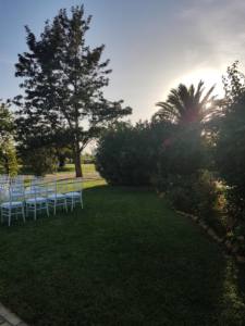 davila-catering